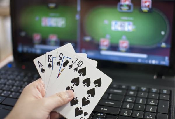 kingbet